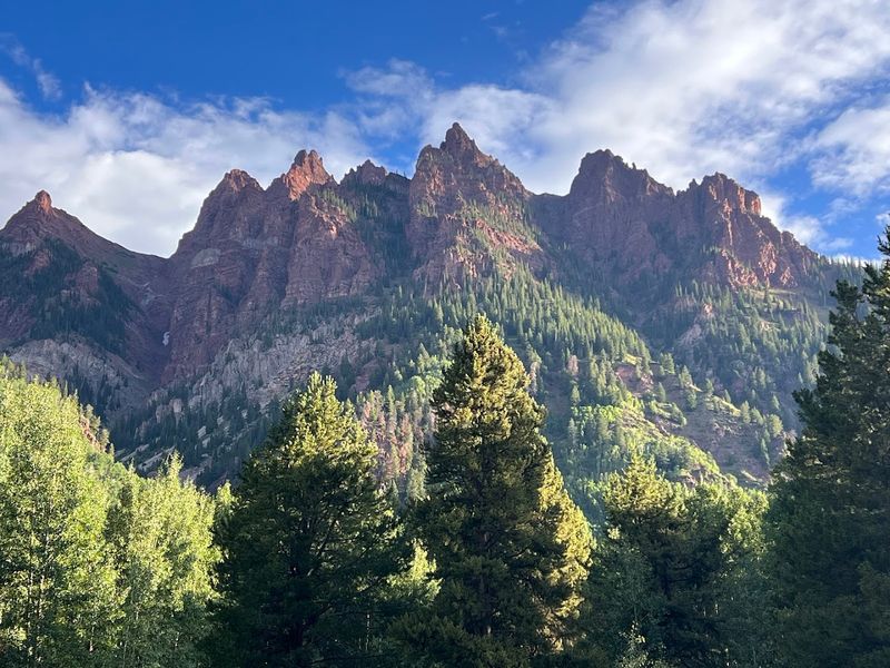 Why This Aspen Landscape Stands Apart