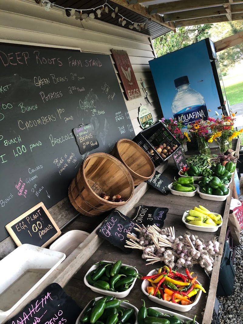 Deep Roots Farm Stand (Dundee Township)
