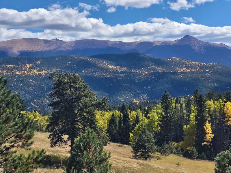 Where Colorado Opens Into Meadows and Big-Sky Views