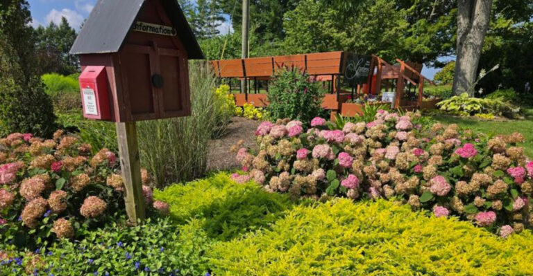 Spend A Relaxing Summer Weekend At This Beautiful Tennessee Botanical Garden