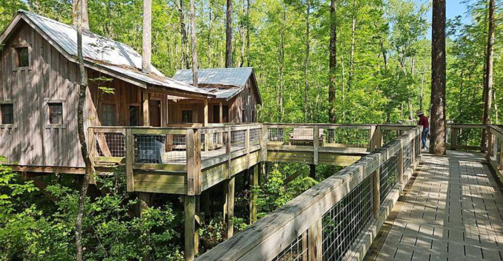 Spend The Night In A Rustic North Carolina Treehouse Village You’ll Never Want To Leave