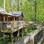Spend The Night In A Rustic North Carolina Treehouse Village You’ll Never Want To Leave