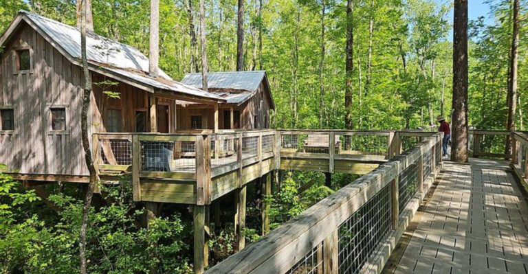 Spend The Night In A Rustic North Carolina Treehouse Village You’ll Never Want To Leave