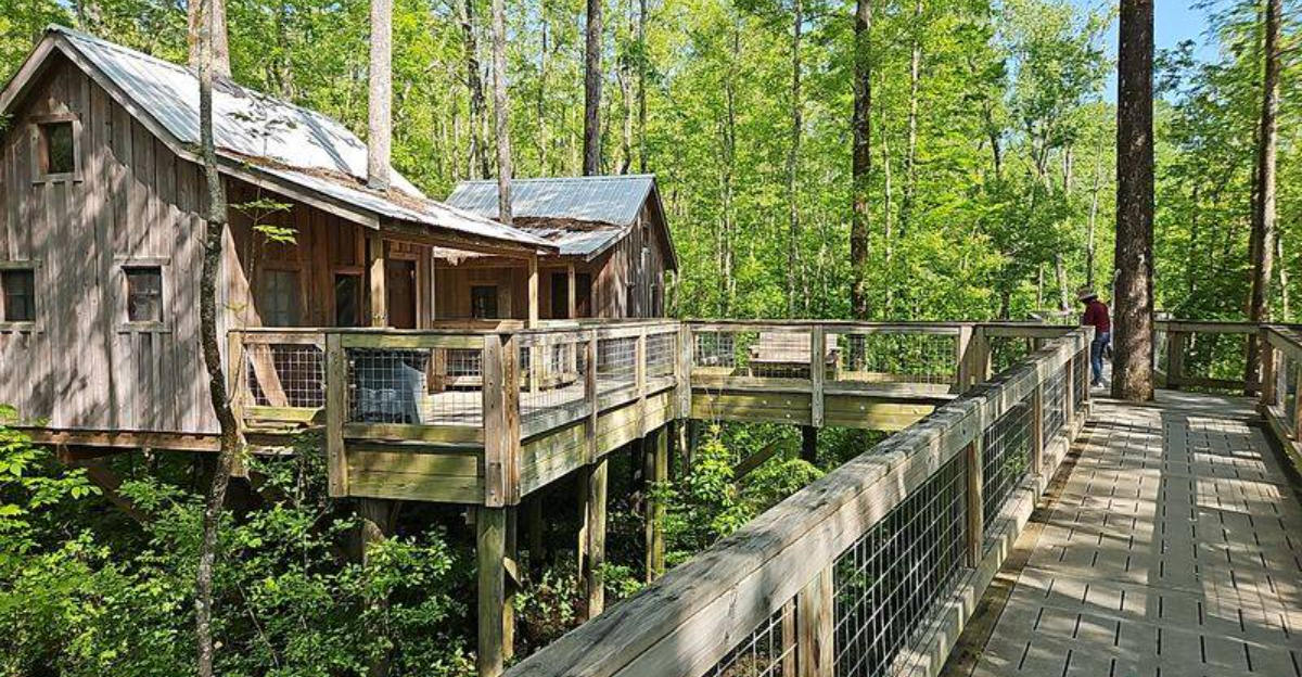 Spend The Night In A Rustic North Carolina Treehouse Village You’ll Never Want To Leave