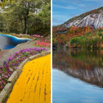 Step Into a Fairytale at These 10 Enchanting Places Across North Carolina