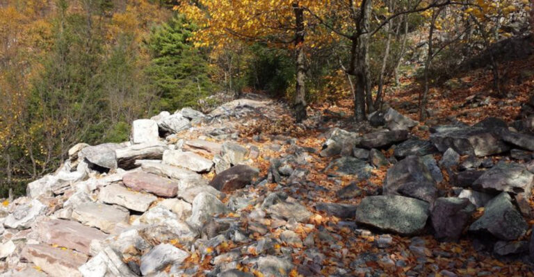 Take On 1,000 Stone Steps On This Central Pennsylvania Trail For A Breathtaking Overlook
