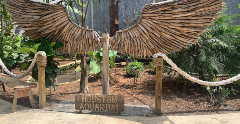 Texas Has an Exotic Petting Zoo… and You Can Touch Almost Everything