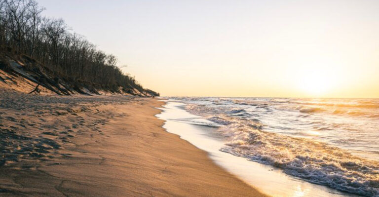 The 11 Best Indiana Beaches To Explore With Your Dog This Summer