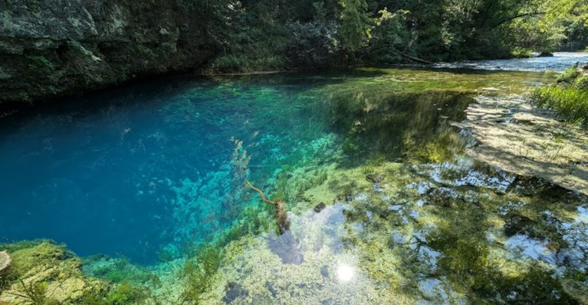 The Crystal-Blue Water at This Missouri Spring Has to Be Seen to Be Believed