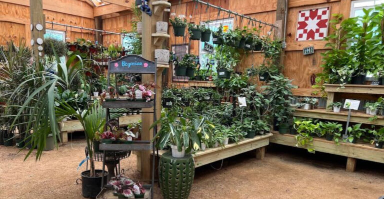 The Enormous Greenhouse At This Texas Garden Center Feels Like A Botanical Vacation