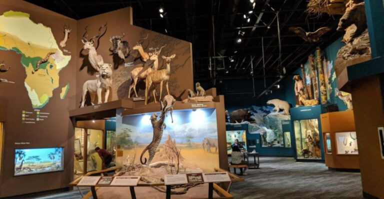 The Most Incredible Natural History Museum In Ohio Is A Must-Visit