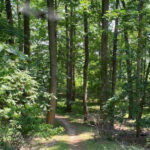 The New Jersey State Park Locals Visit When They Want the Woods to Themselves