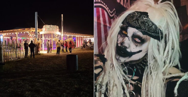 The Ohio Farm Where Cute Animals And Creepy Fun Share The Same Address