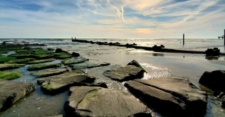 The Once-Segregated New Jersey Shoreline That Became a Symbol of Black Pride