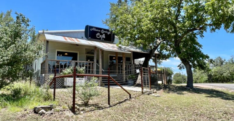 The Onion Rings at This Texas Restaurant Are So Good, People Make Road Trips for Them