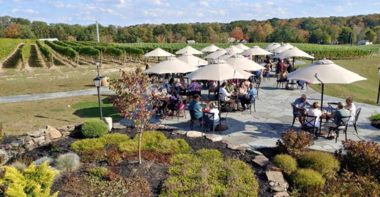 The Picture-Perfect Ohio Winery Everyone Should Experience At Least Once