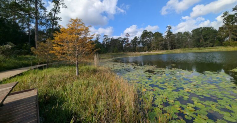These 10 Scenic Texas Trails Are Easy, Relaxing, and Senior-Friendly