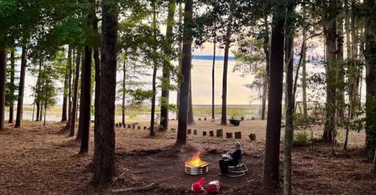 These 10 Texas Forest Escapes Are Perfect to Discover This August