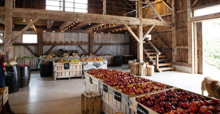 These 11 Ohio Berry-Picking Places Are Perfect For A Weekend Adventure