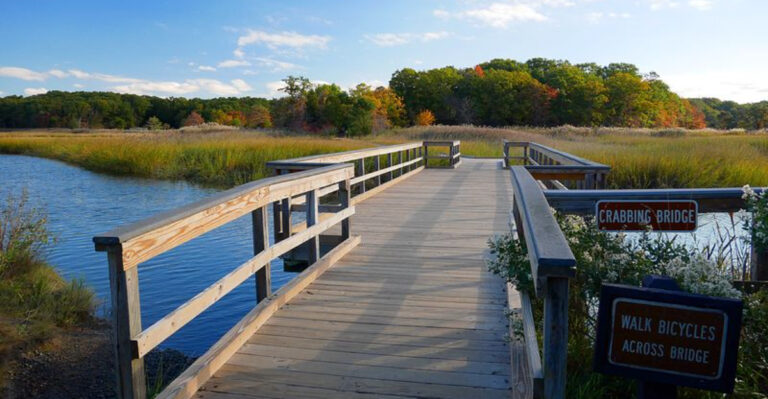 These 12 New Jersey State Parks Feel Like National Parks Without the Crowds