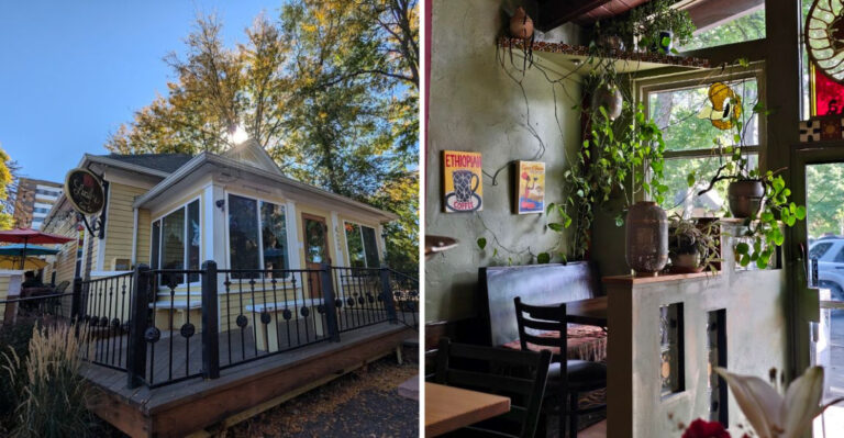 These 14 Fort Collins Restaurants Are Among Colorado’s Best Places To Eat