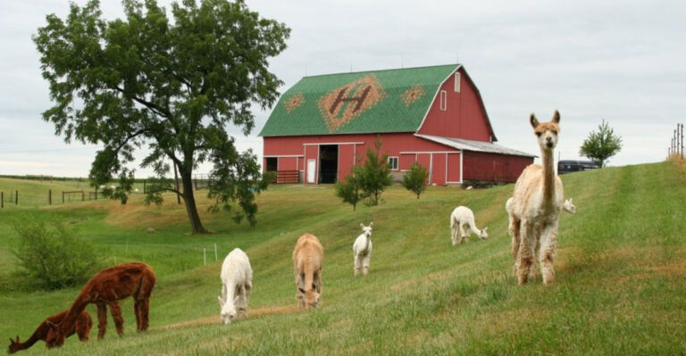 These 8 Magical Indiana Farms Will Make You Want To Escape The City