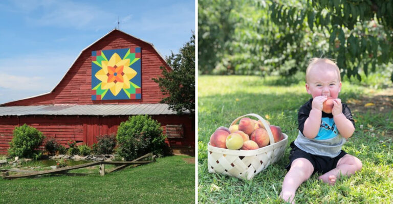 These 8 North Carolina U-Pick Farms Are the Sweetest July Adventure