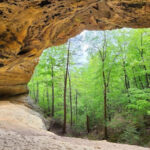These Hidden Tennessee Nature Preserves Offer Miles Of Quiet Beauty