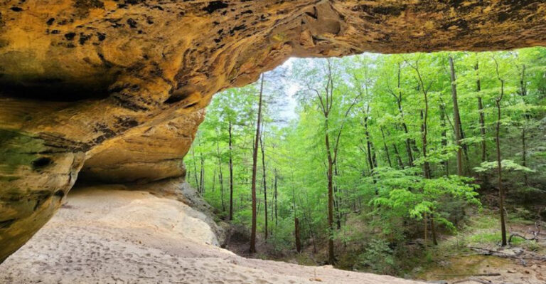 These Hidden Tennessee Nature Preserves Offer Miles Of Quiet Beauty