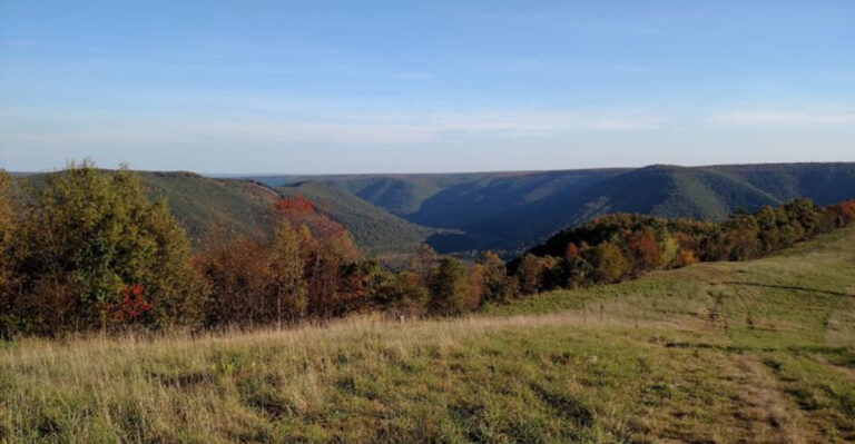 This 100 Mile Pennsylvania Road Trip Is One Of The Most Relaxing Free Adventures In The State