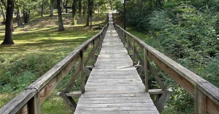 This 546-Foot Texas Footbridge Hike Feels Like Something Straight Out of Tarzan