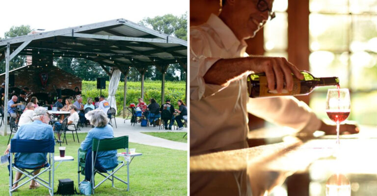 This 90-Acre Tennessee Farm Is Home To Award-Winning Wine, Vineyards, And Fresh Berries