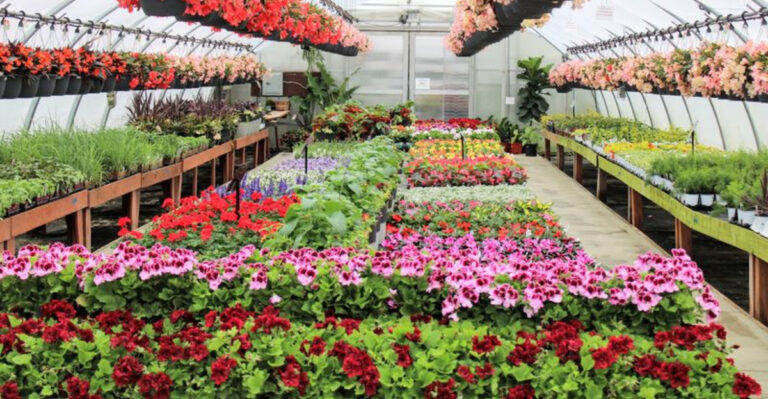 This Beautiful Plant Shop In Ohio Will Make You Feel Like You’re In A Secret Garden