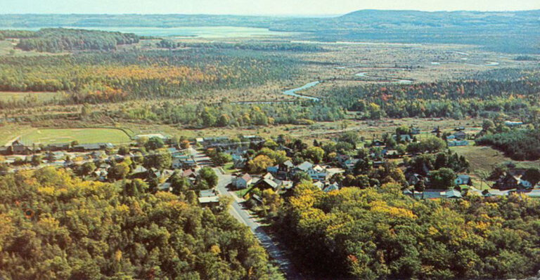 This Delightfully Quirky Michigan Town Makes Ordinary Road Trips More Interesting