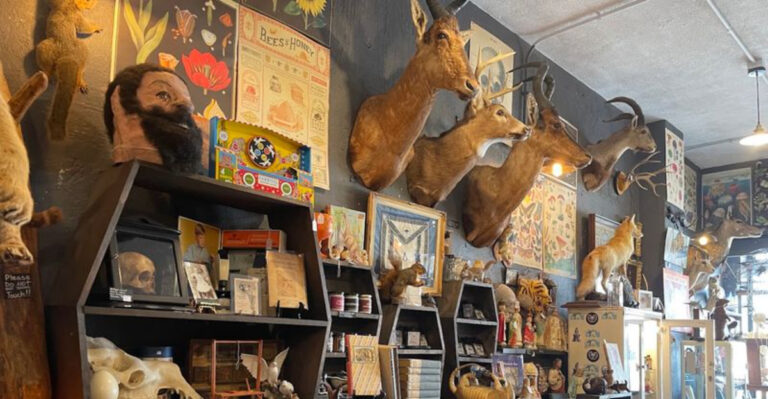 This Fascinatingly Weird Ohio Gift Shop Is A Wonderland Of Curiosities And Oddities