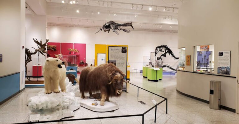 This Free New Jersey Museum Holds More Than 2 Million Fascinating Objects