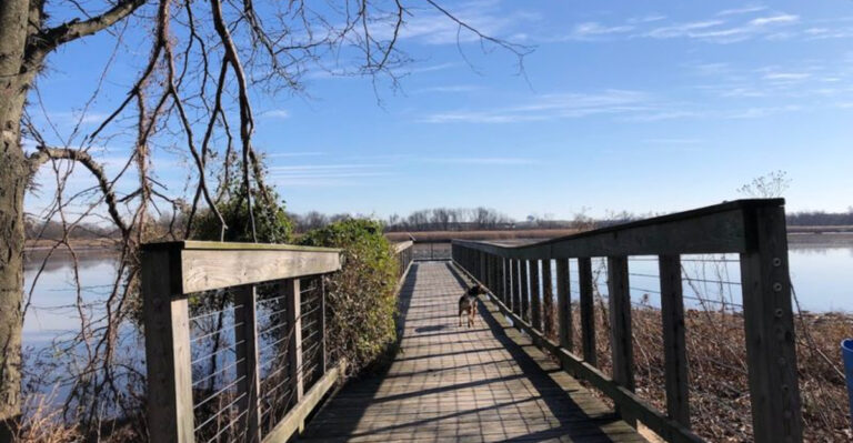 This Free New Jersey Park Is a Waterfront Wonderland Few People Know About