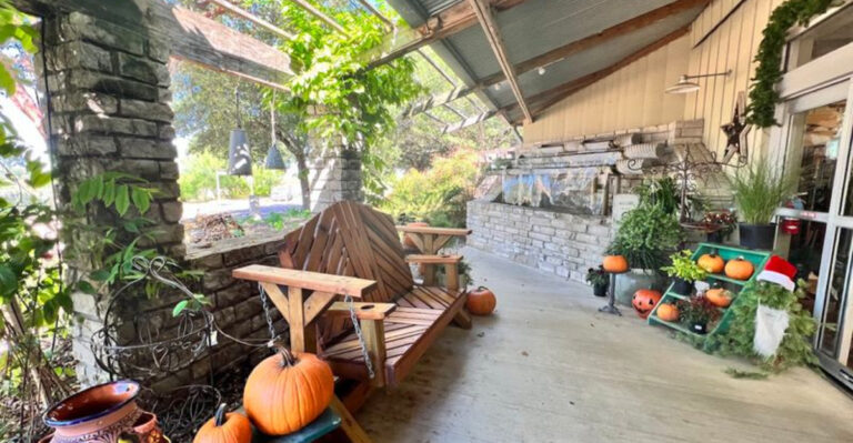 This Gorgeous Texas Garden Market Is Made for a Relaxing Afternoon