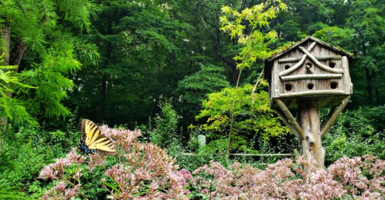 This Hidden New Jersey Garden Feels Like a Secret World Carved Into the Rocks
