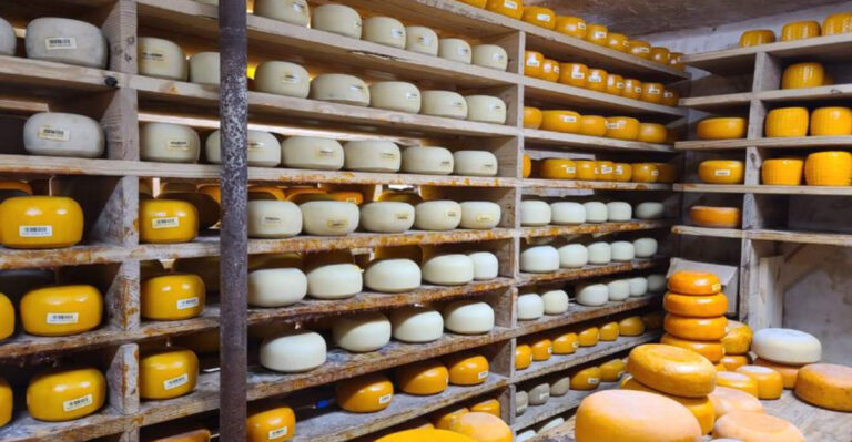This Hidden Texas Cheese Shop Is A Dream Come True For Dairy Lovers