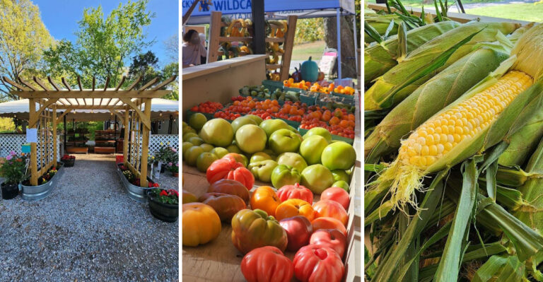 This Illinois Farm Market Is a Fresh July Stop Worth Returning To