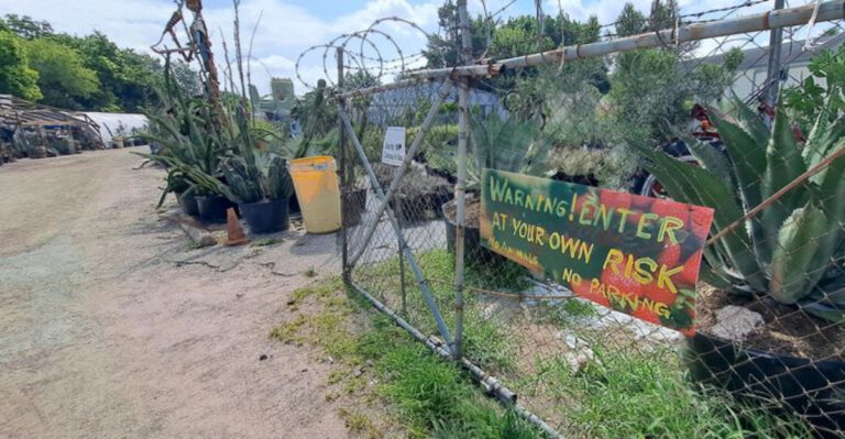 This Massive Texas Nursery Has Acres of Rare and Unusual Plants