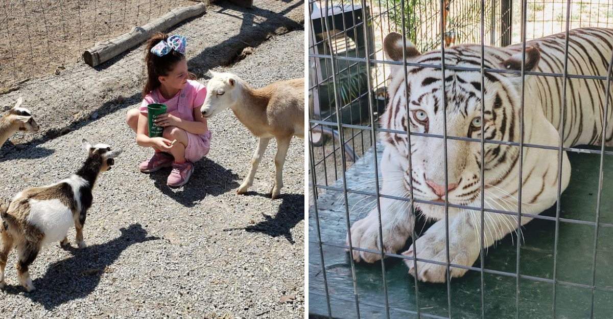 This Missouri Petting Farm Is Every Animal Lover’s Dream Day Trip