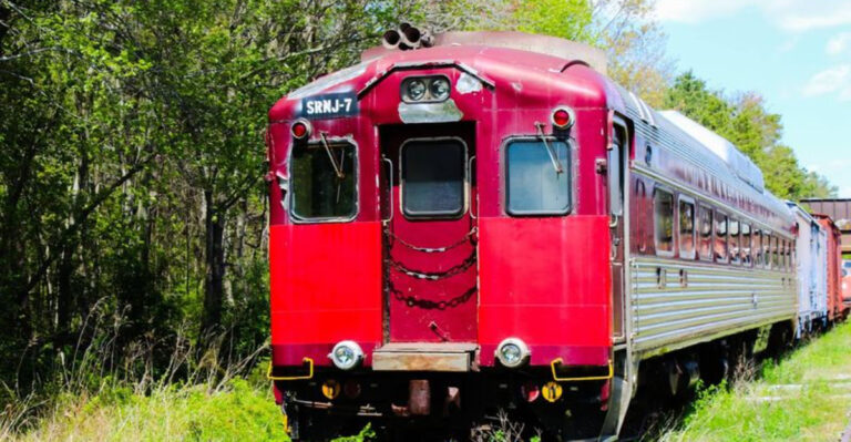This New Jersey Rail Yard Looks Like a Museum the Woods Tried to Reclaim
