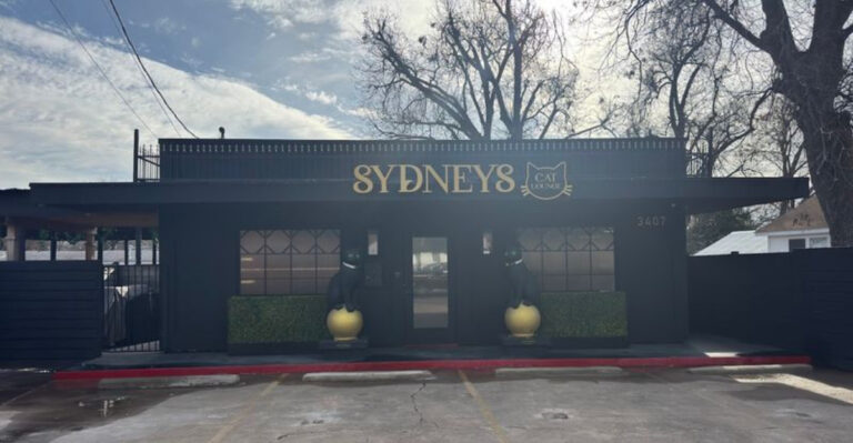 This New Wonderland-Inspired Cat Lounge In Texas Feels Like A Fairytale With Whiskers