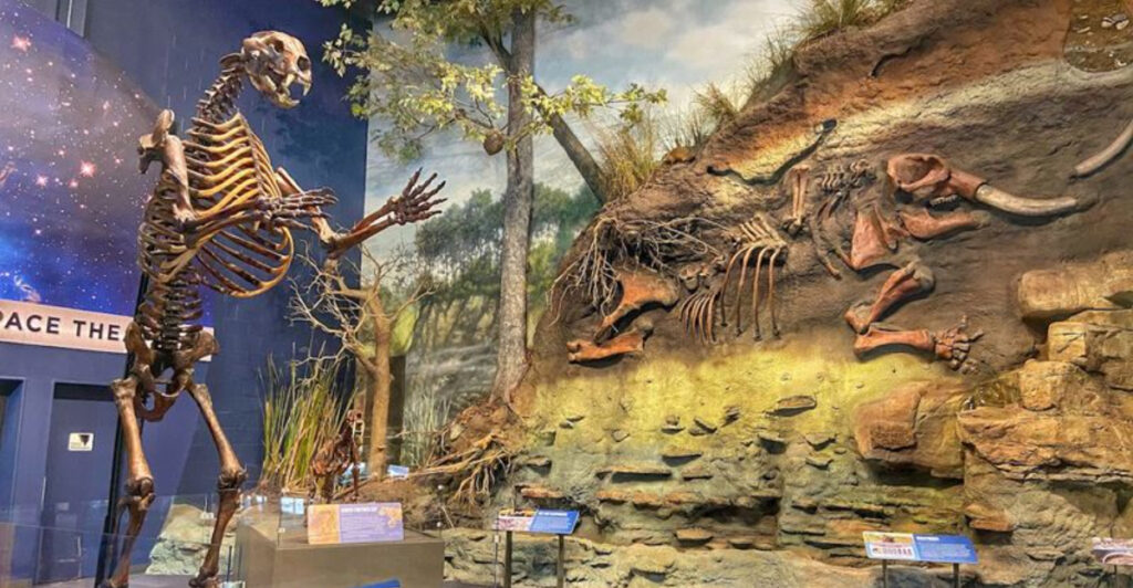 This Ohio Museum Lets You Explore Science And Meet Amazing Animals