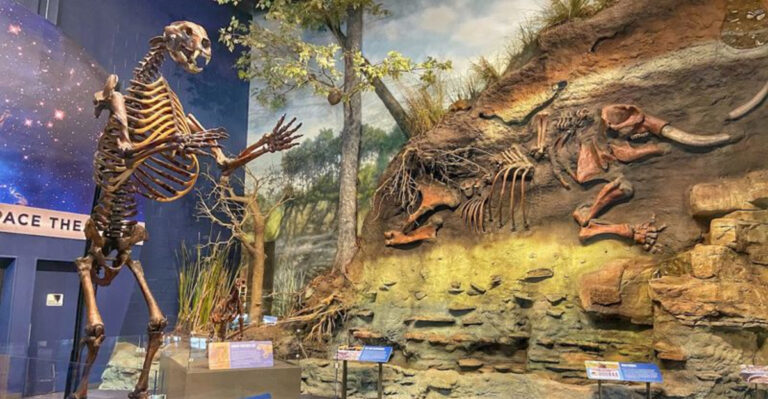 This Ohio Museum Lets You Explore Science And Meet Amazing Animals