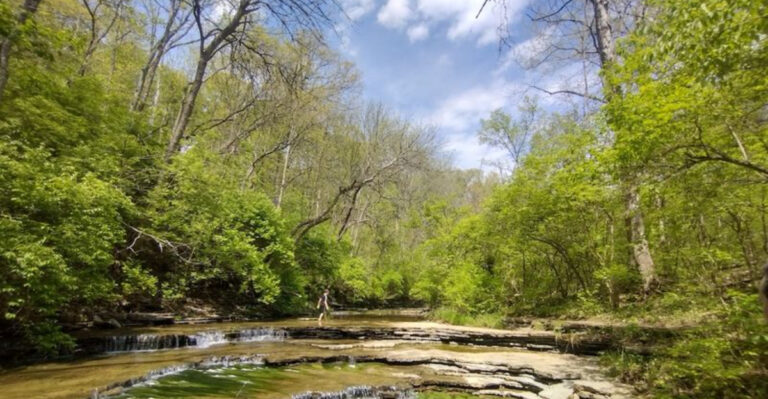 This Ohio State Park Is Home To One Of The Midwest’s Most Stunning Forests