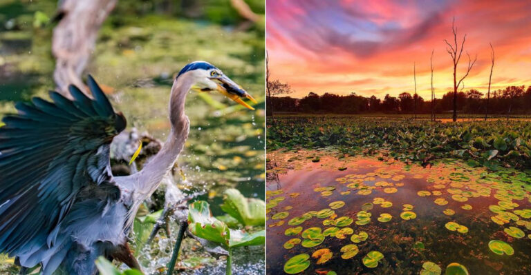 This Ohio Trail Is Where Wildlife Sightings Feel Like A Special Surprise