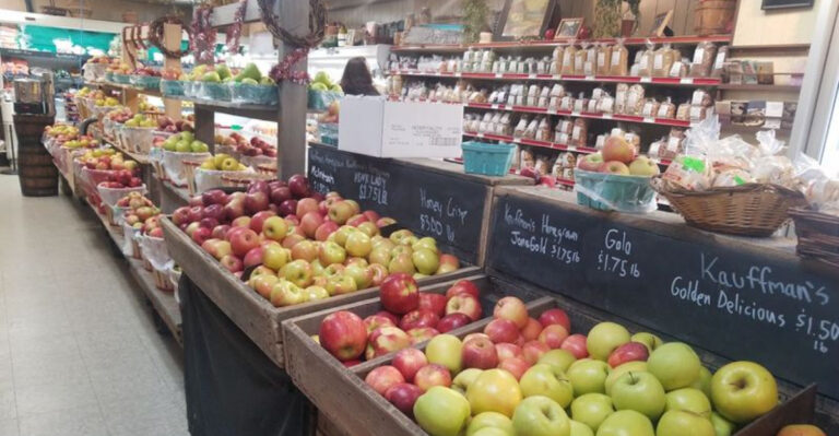 This Quiet Pennsylvania Orchard Offers U-Pick Fruit, Apple Trees, And Beautiful Country Views
